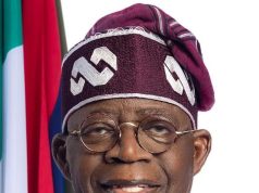 Interest and Loyalty in Politics: A Global Perspective